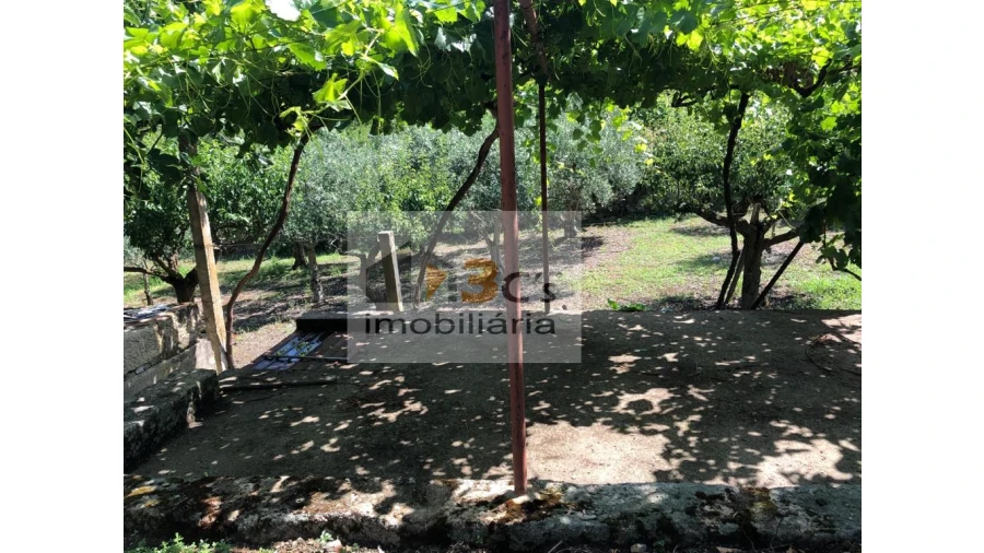 Quinta para Venda em Torre de Moncorvo Foto 4