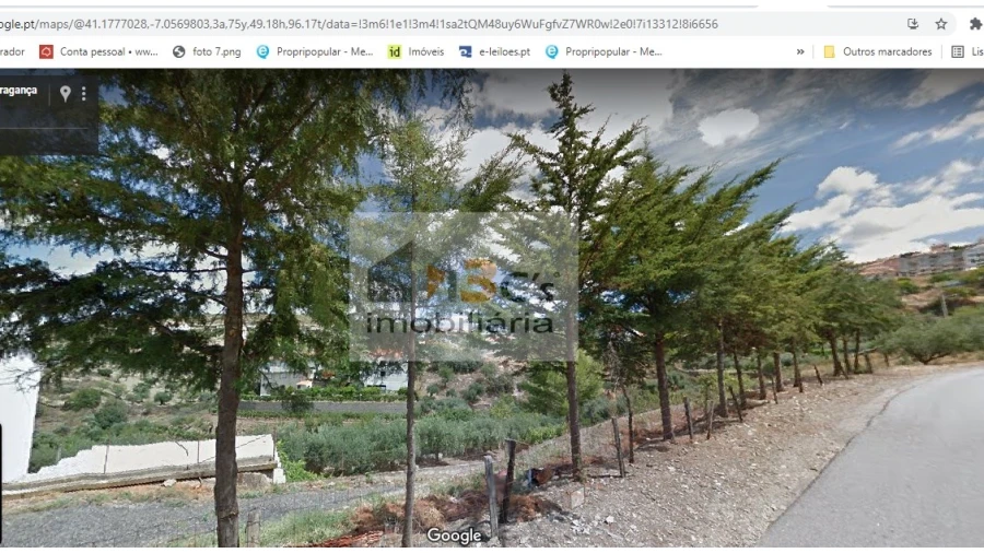 Quinta para Venda em Torre de Moncorvo Foto 5