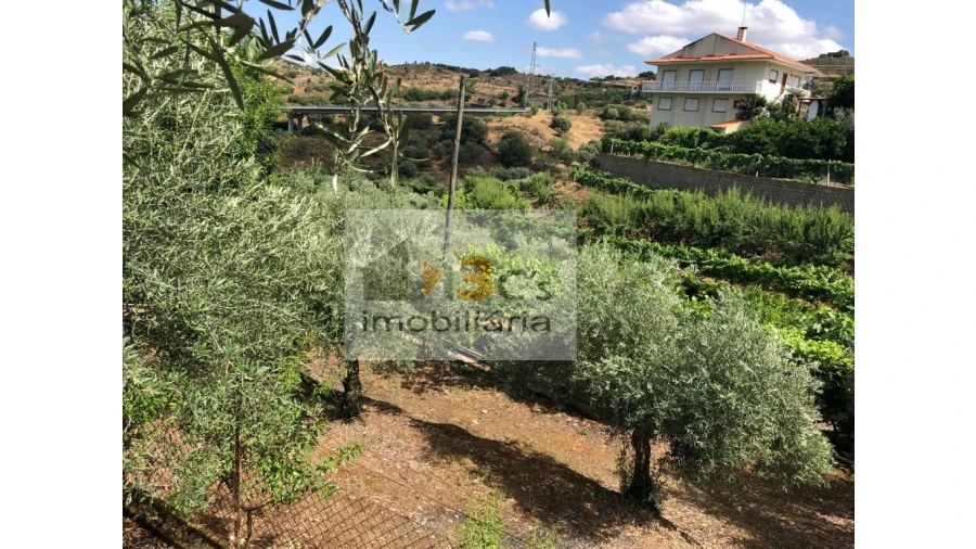 Quinta para Venda em Torre de Moncorvo