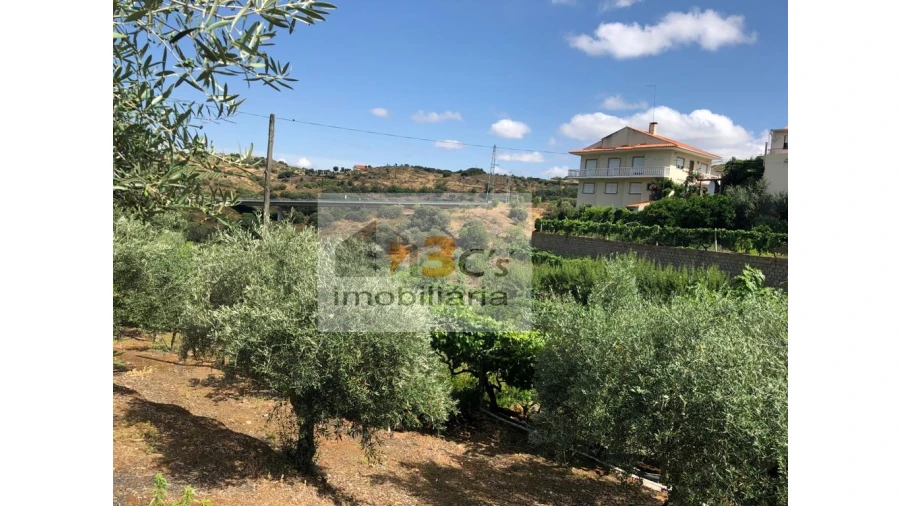 Quinta para Venda em Torre de Moncorvo Foto 10