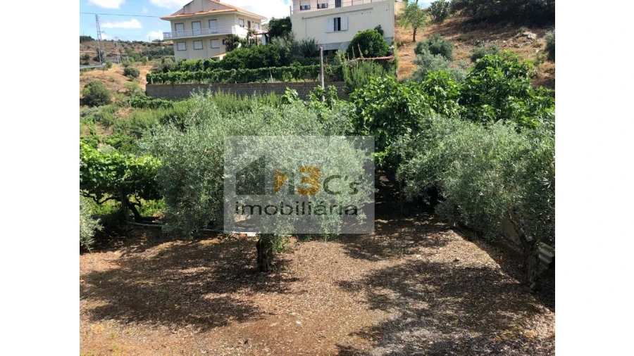 Quinta para Venda em Torre de Moncorvo Foto 11