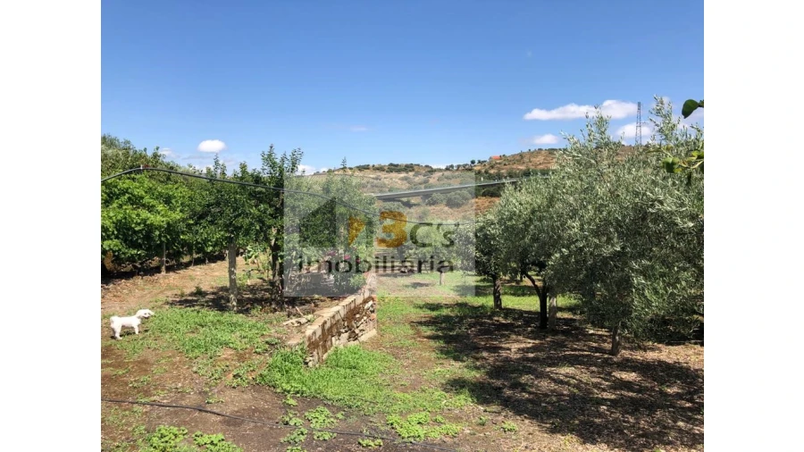 Quinta para Venda em Torre de Moncorvo Foto 13