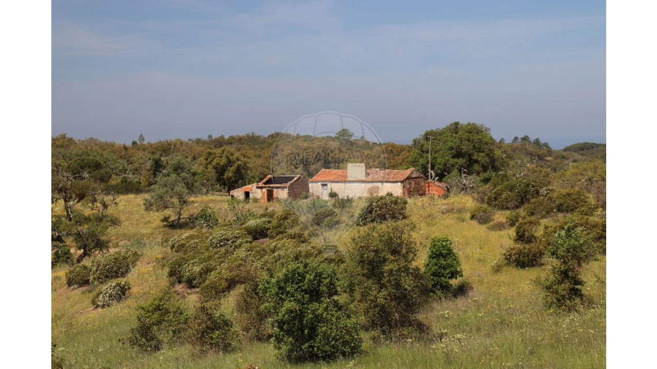 Terreno para Venda em Melides Foto 10