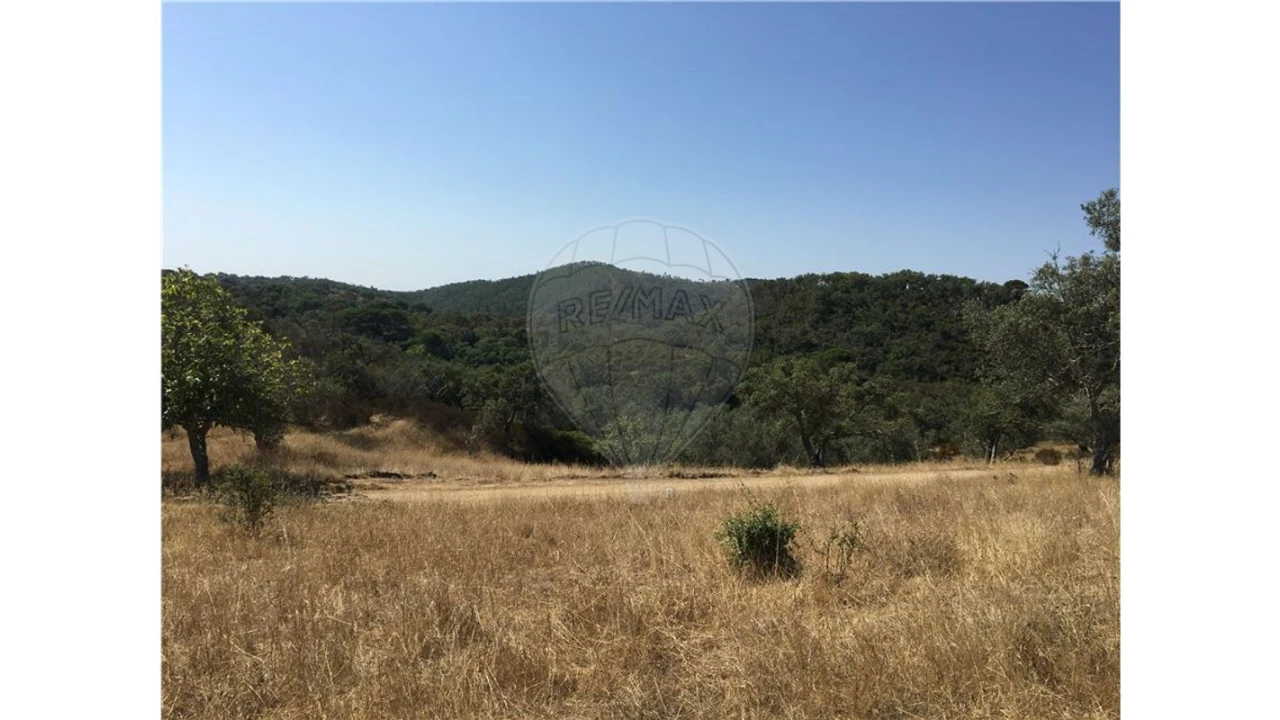 Terreno para Venda em Melides Foto 24