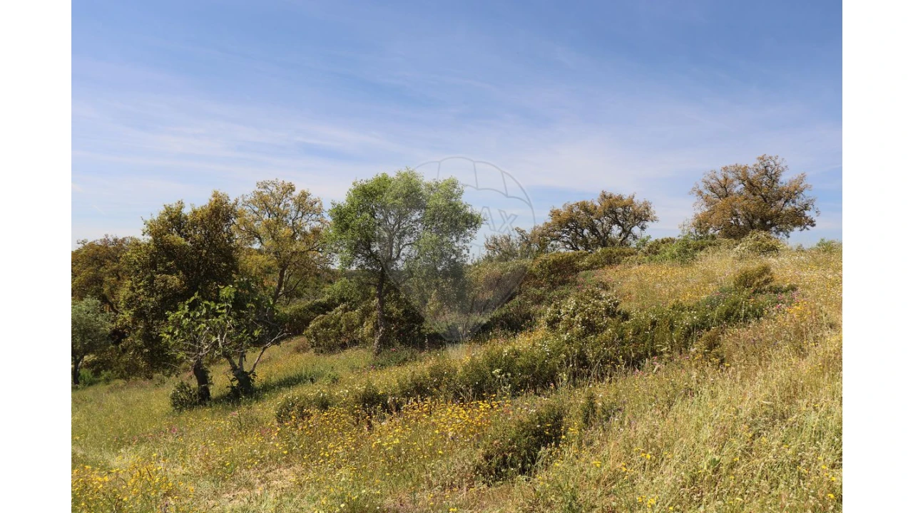 Terreno para Venda em Melides Foto 3