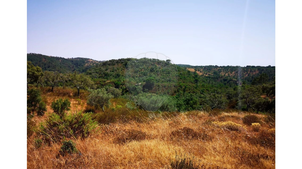 Terreno para Venda em Melides Foto 20