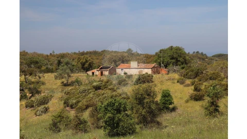Terreno para Venda em Melides