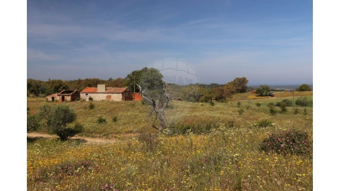 Terreno para Venda em Melides