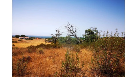 Terreno para Venda em Melides