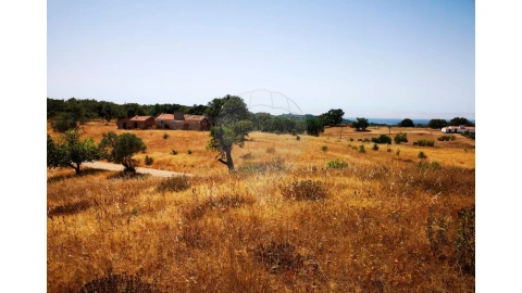 Terreno para Venda em Melides