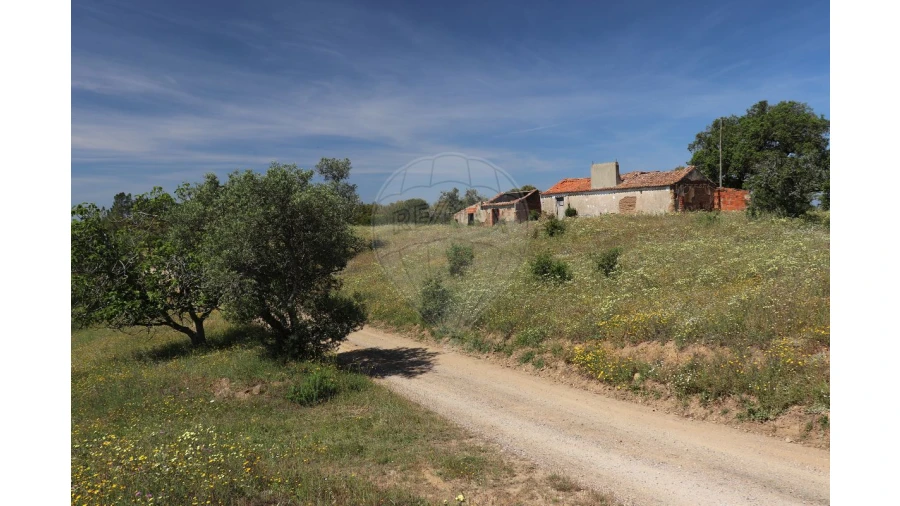 Terreno para Venda em Melides Foto 8