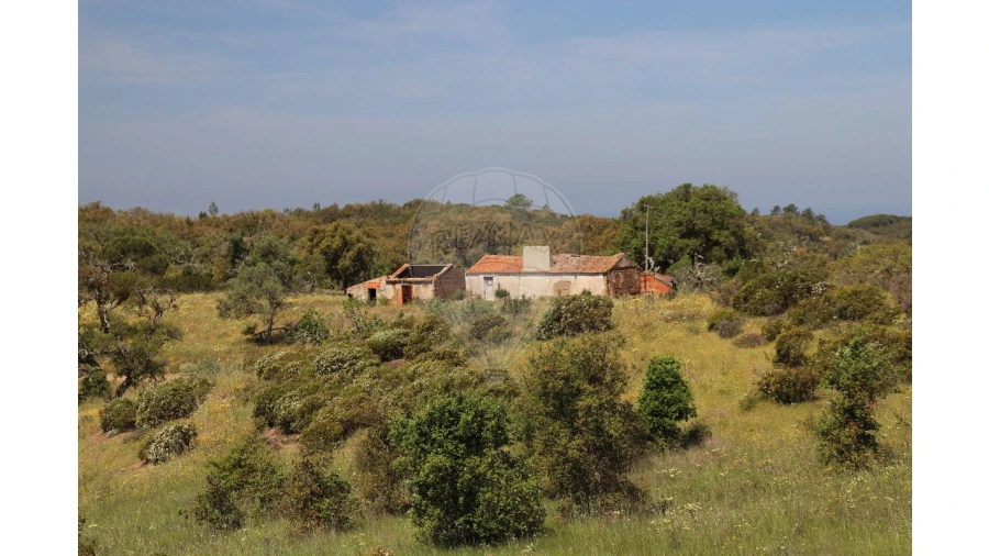 Terreno para Venda em Melides Foto 10
