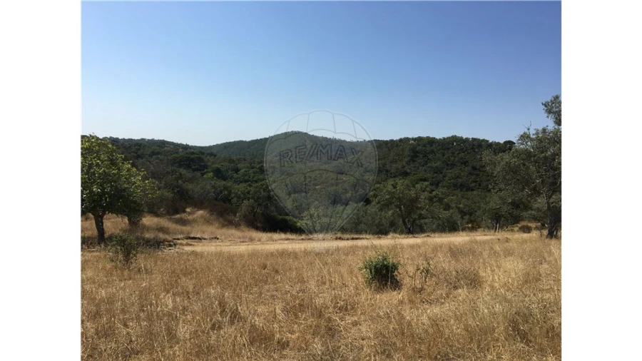 Terreno para Venda em Melides Foto 24