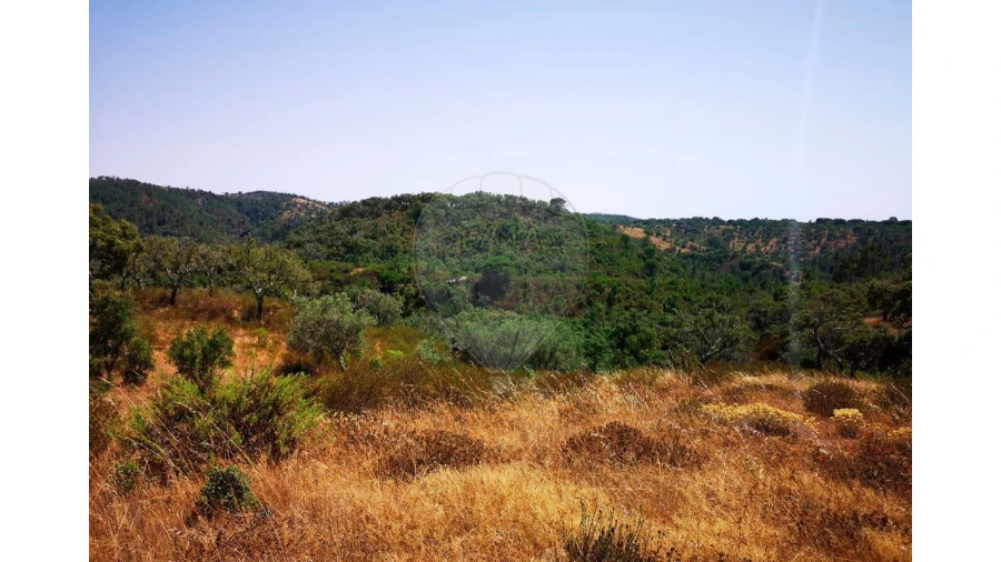 Terreno para Venda em Melides Foto 20