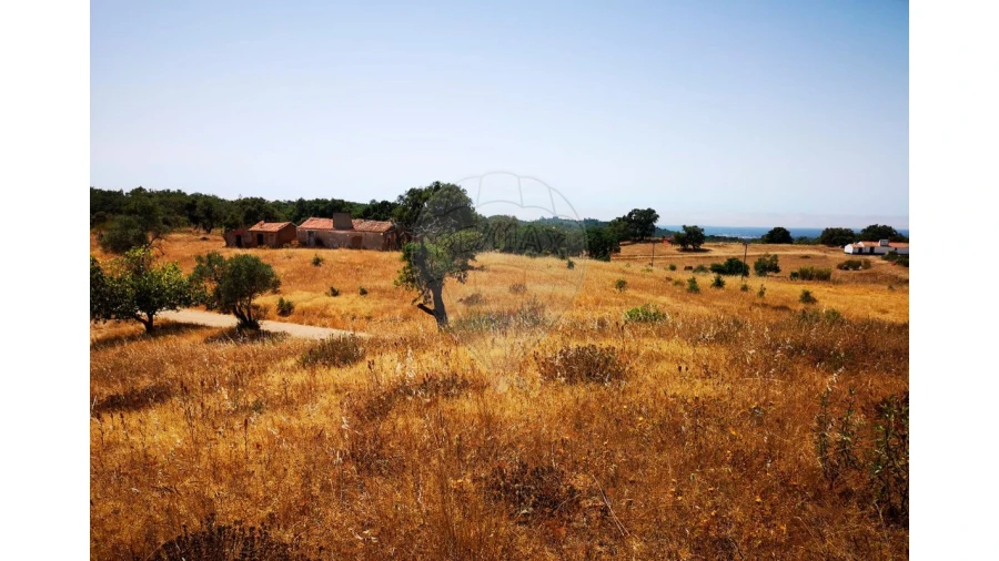 Terreno para Venda em Melides Foto 22