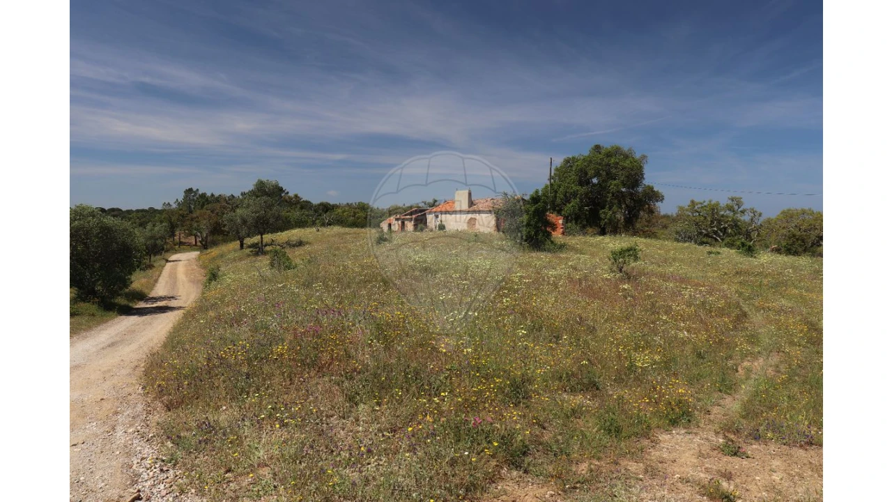 Terreno para Venda em Melides Foto 5
