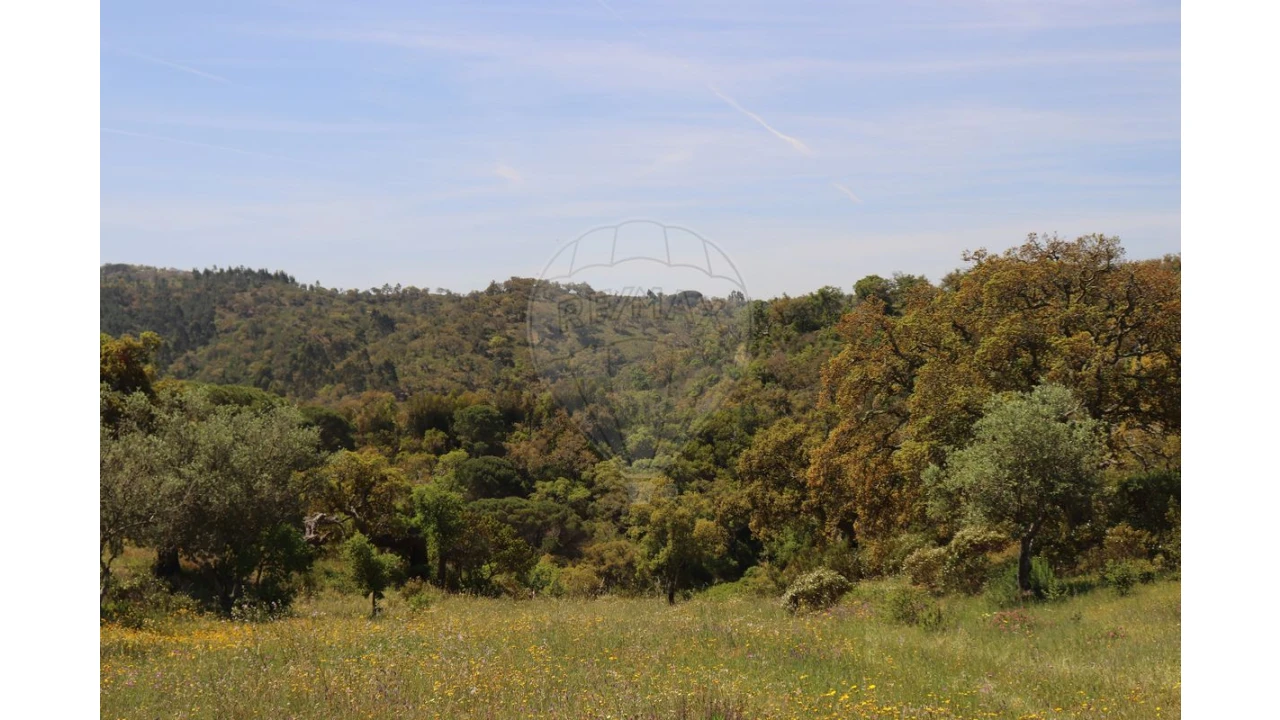 Terreno para Venda em Melides Foto 1