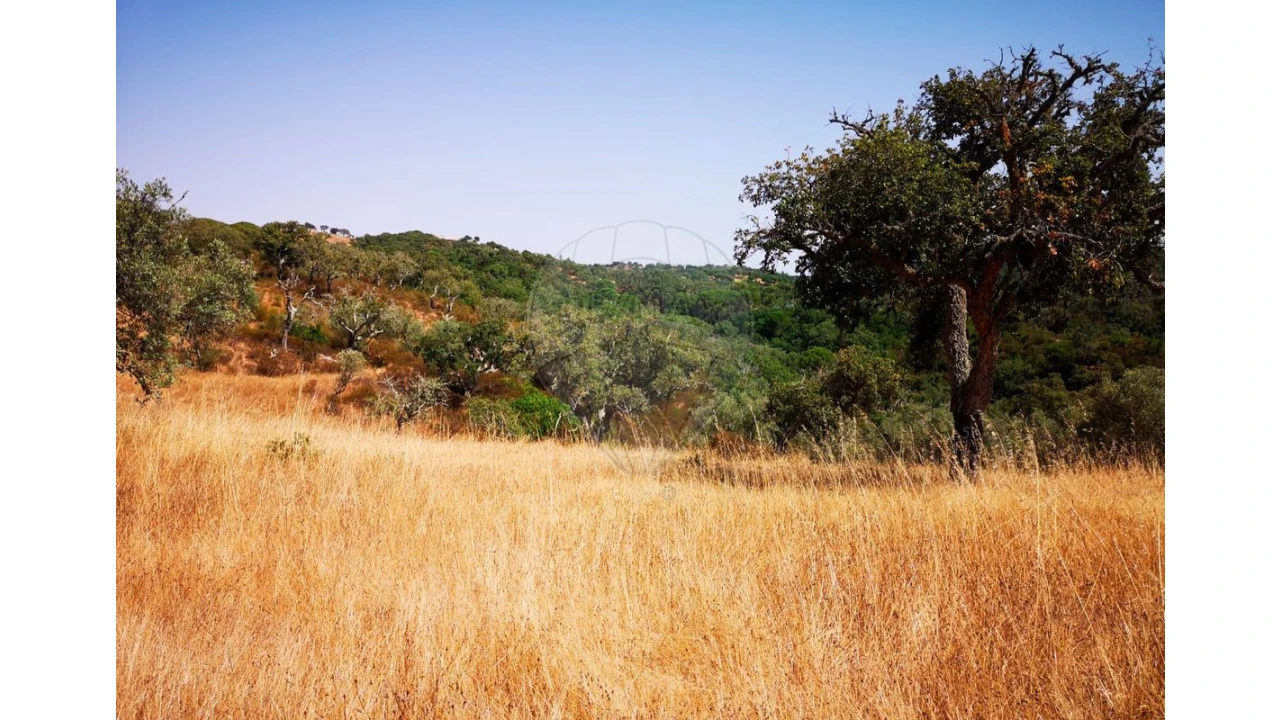 Terreno para Venda em Melides Foto 18