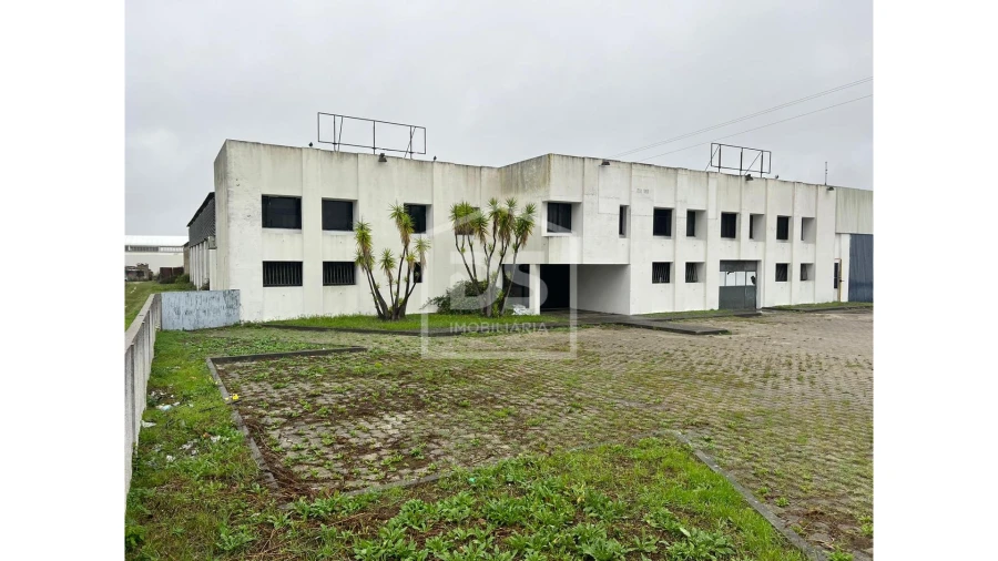 Armazém para Venda em Marinha Grande Foto 15