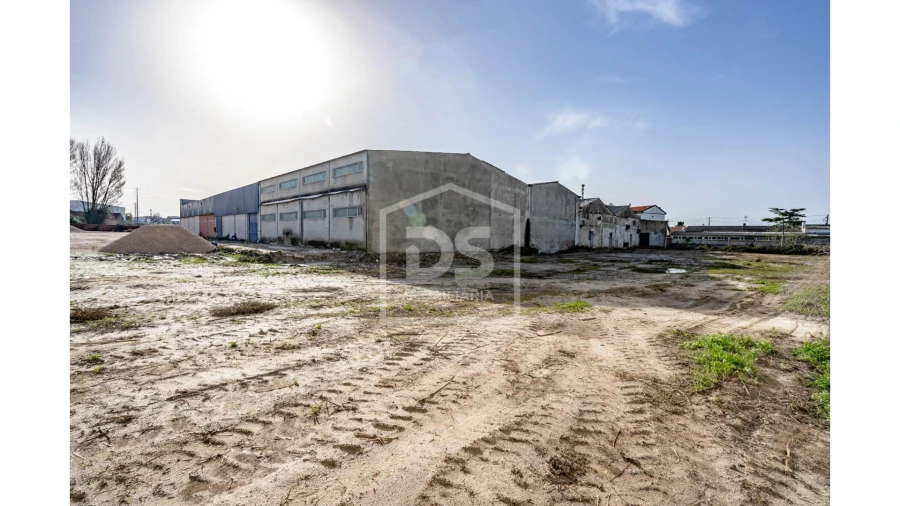 Armazém para Venda em Marinha Grande Foto 19
