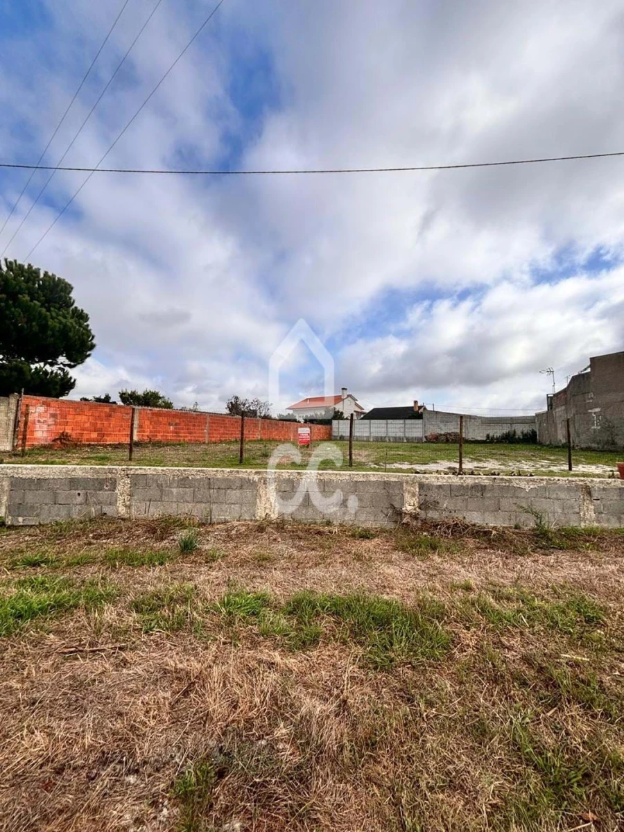 Terreno para Venda em Vieira de Leiria Foto 3