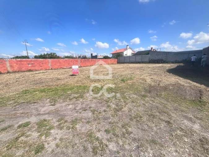 Terreno para Venda em Vieira de Leiria Foto 14