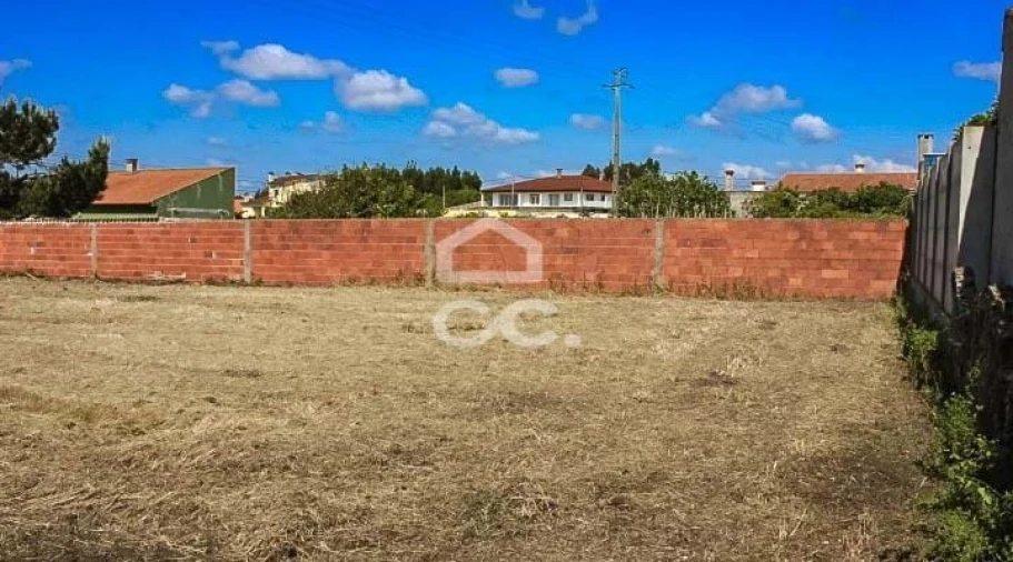 Terreno para Venda em Vieira de Leiria Foto 12