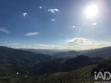 Moradia para Venda em Mesão Frio (Santo André)