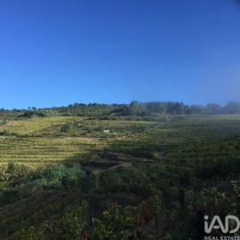 Moradia para Venda em Mesão Frio (Santo André)