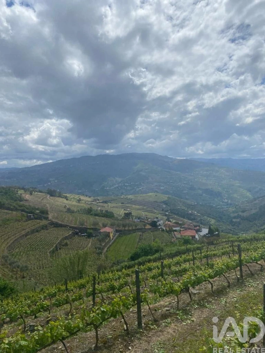 Moradia para Venda em Mesão Frio (Santo André) Foto 9