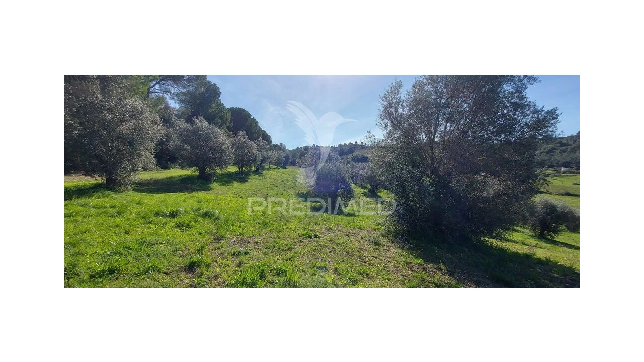 Terreno para Venda em Arneiro das Milhariças Foto 1