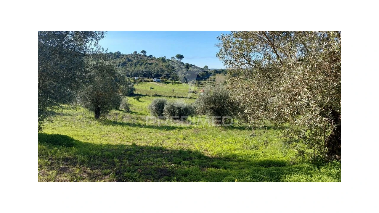 Terreno para Venda em Arneiro das Milhariças Foto 9