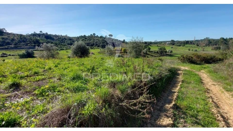 Terreno para Venda em Arneiro das Milhariças