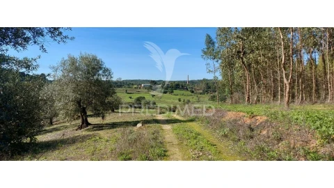 Terreno para Venda em Arneiro das Milhariças