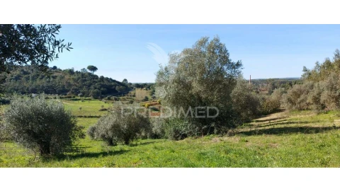Terreno para Venda em Arneiro das Milhariças