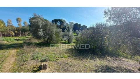 Terreno para Venda em Arneiro das Milhariças