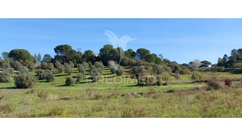 Terreno para Venda em Arneiro das Milhariças