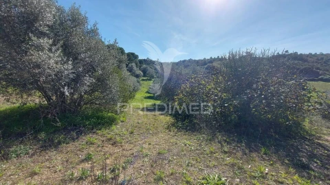 Terreno para Venda em Arneiro das Milhariças