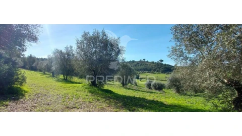 Terreno para Venda em Arneiro das Milhariças