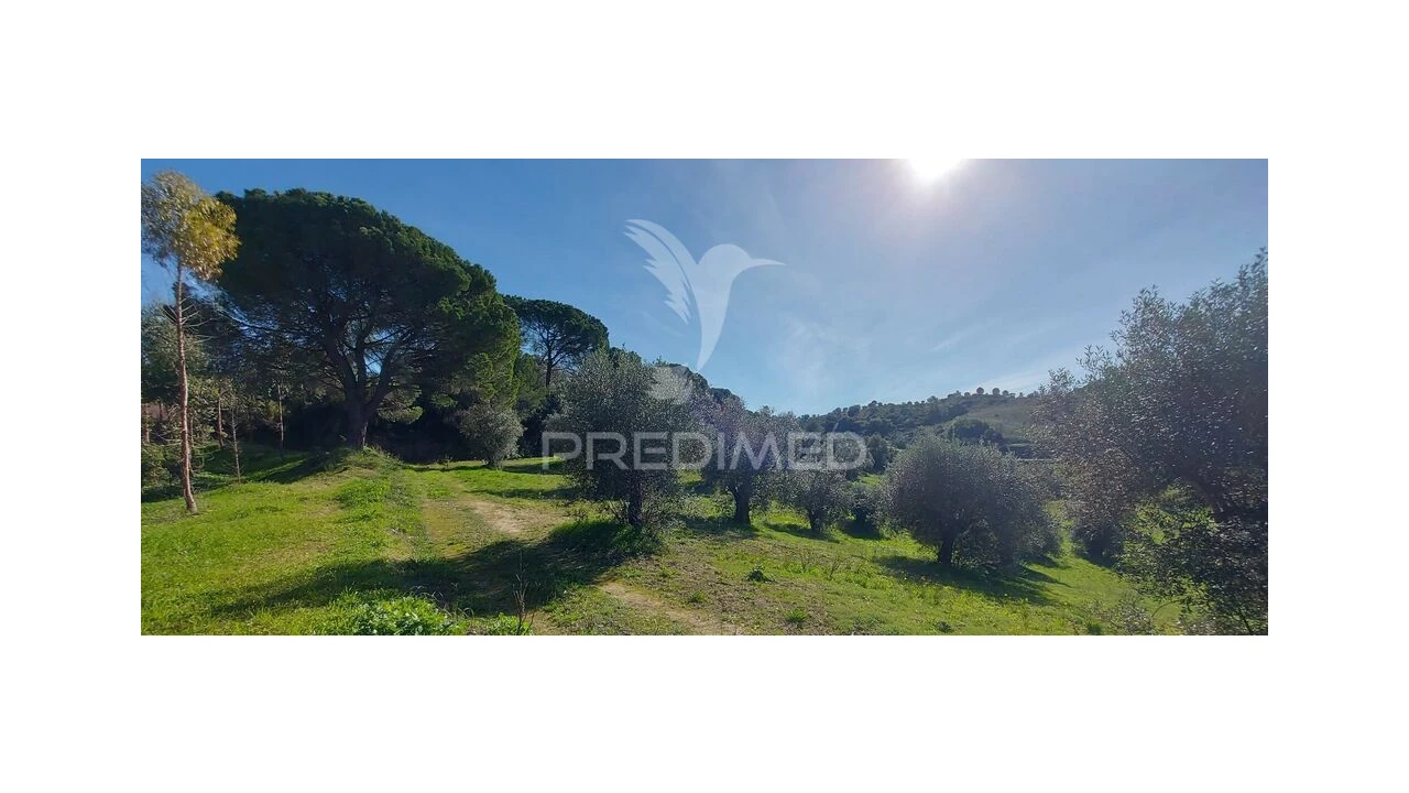 Terreno para Venda em Arneiro das Milhariças Foto 5