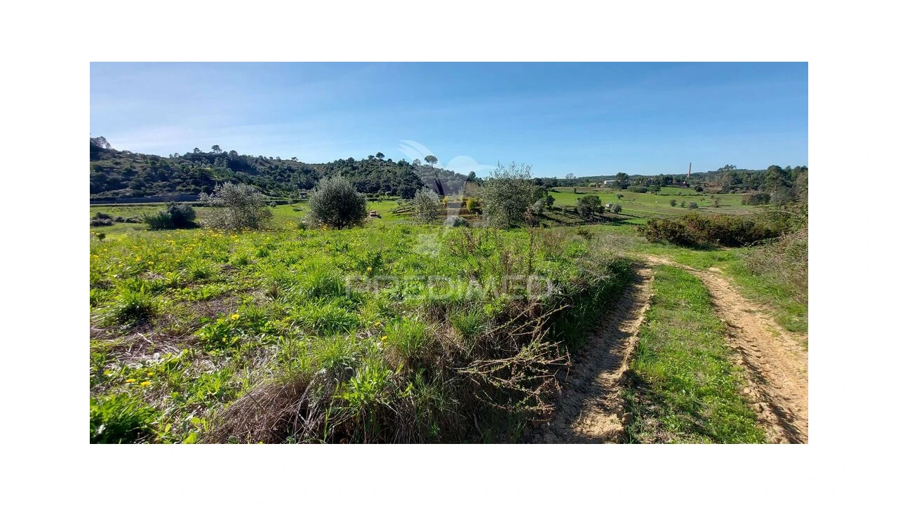 Terreno para Venda em Arneiro das Milhariças Foto 12
