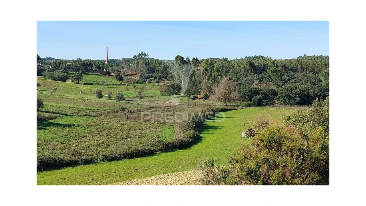 Terreno para Venda em Arneiro das Milhariças Foto 14