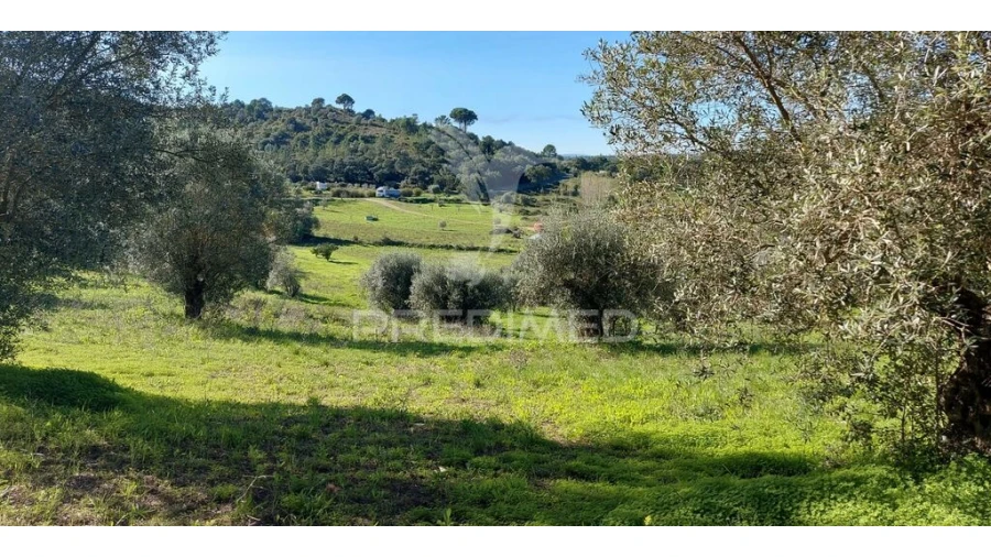 Terreno para Venda em Arneiro das Milhariças Foto 9