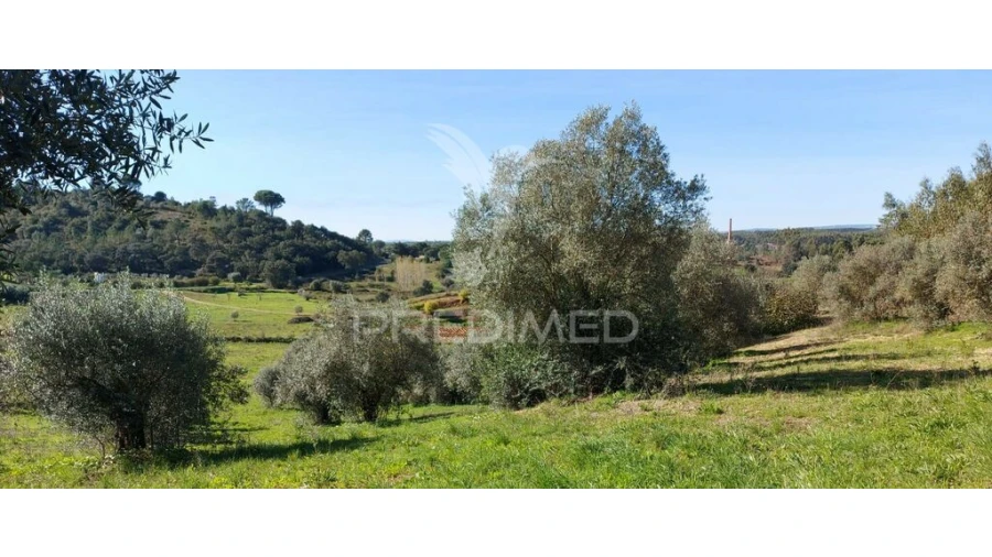Terreno para Venda em Arneiro das Milhariças Foto 6