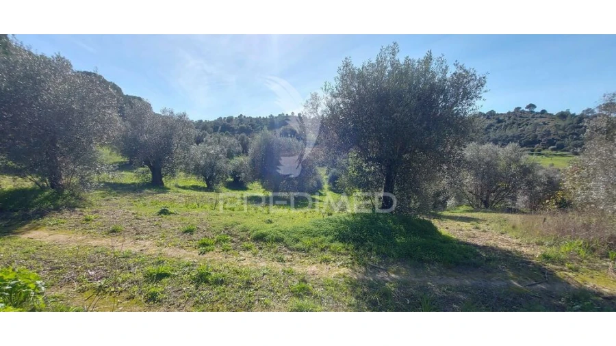 Terreno para Venda em Arneiro das Milhariças Foto 3
