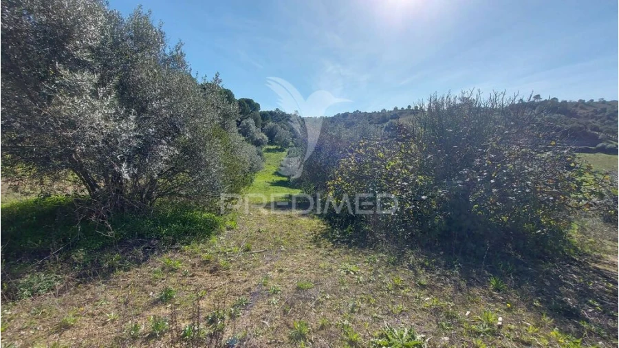 Terreno para Venda em Arneiro das Milhariças Foto 4