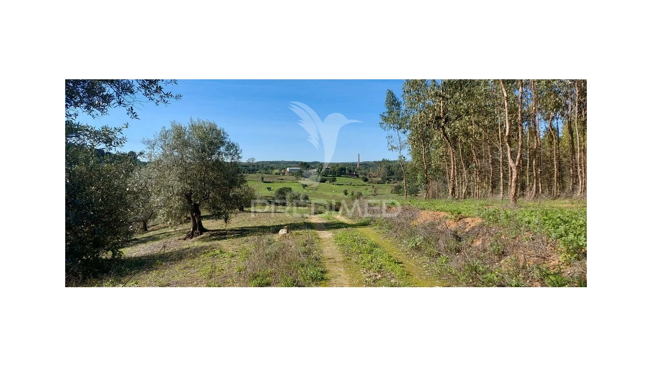 Terreno para Venda em Arneiro das Milhariças Foto 10