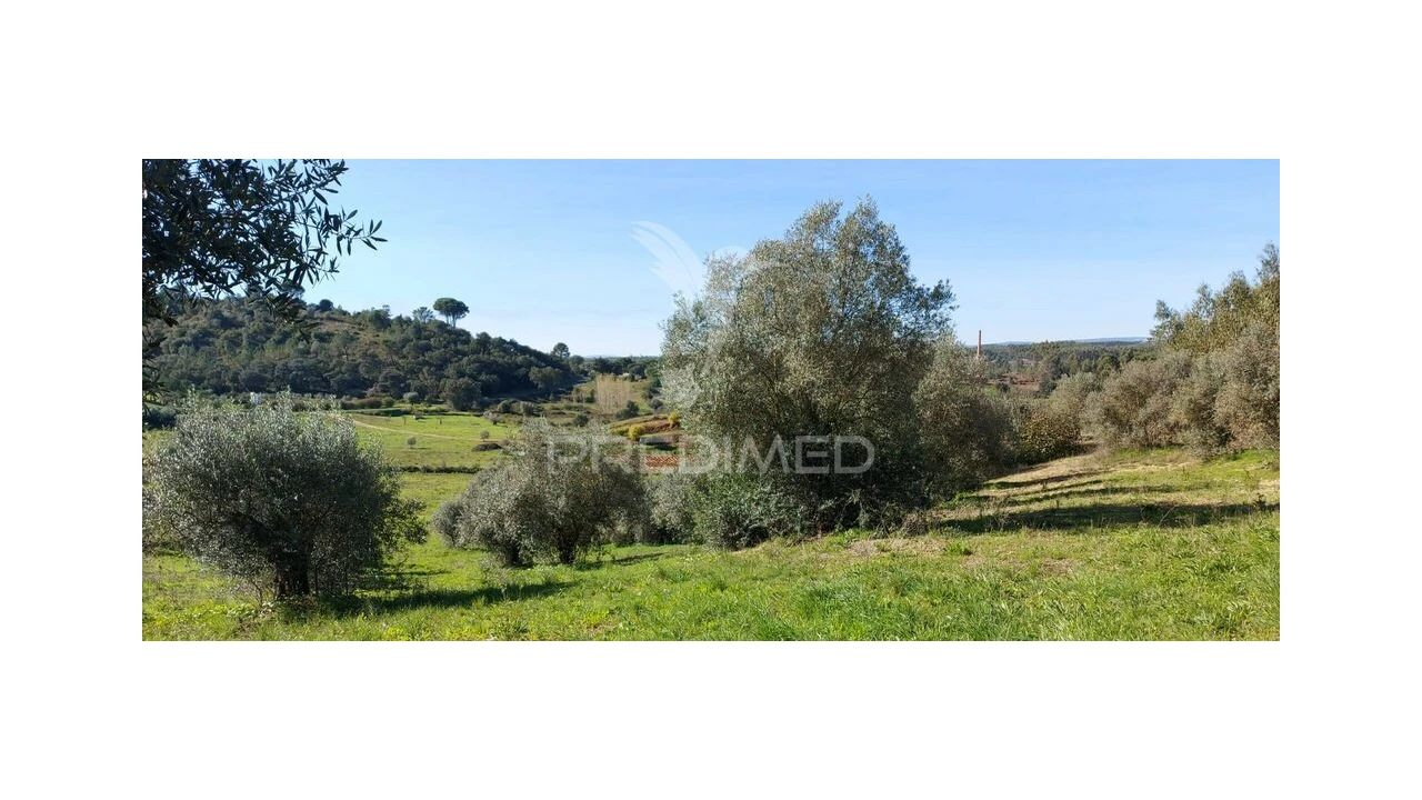 Terreno para Venda em Arneiro das Milhariças Foto 6