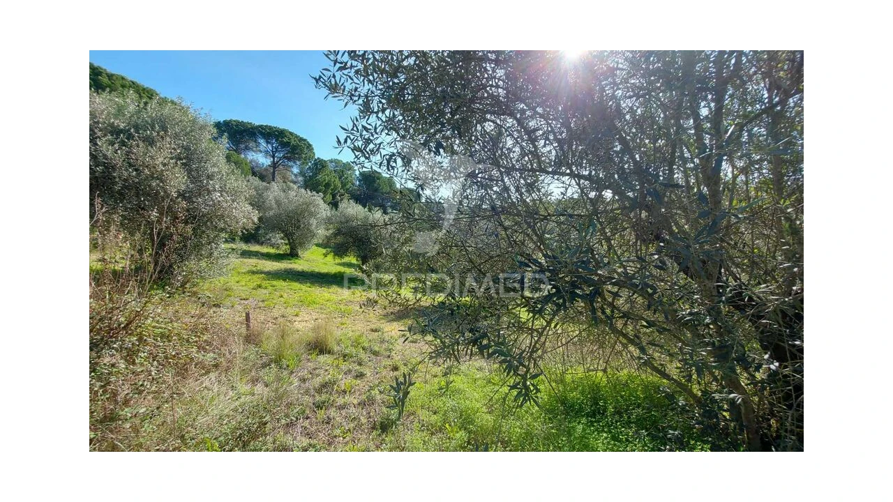 Terreno para Venda em Arneiro das Milhariças Foto 11