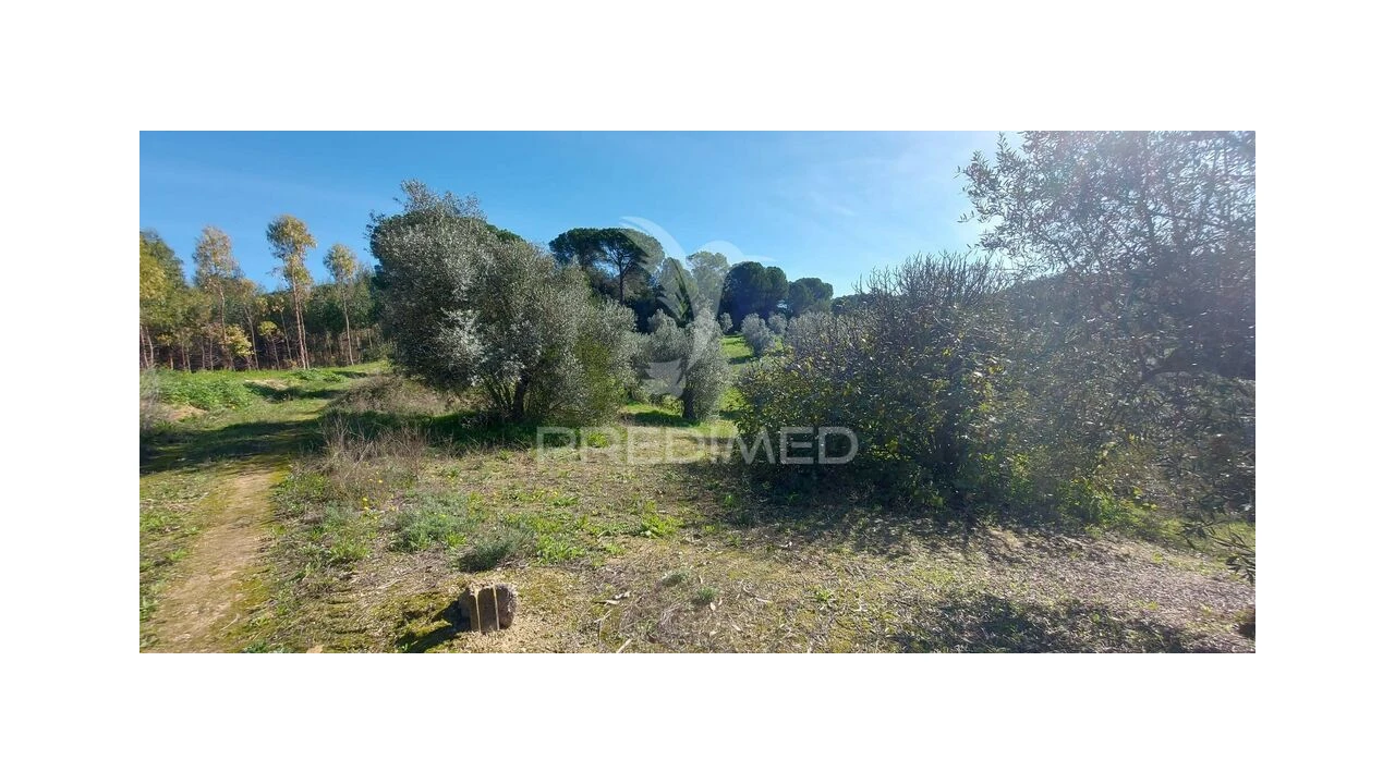 Terreno para Venda em Arneiro das Milhariças Foto 13